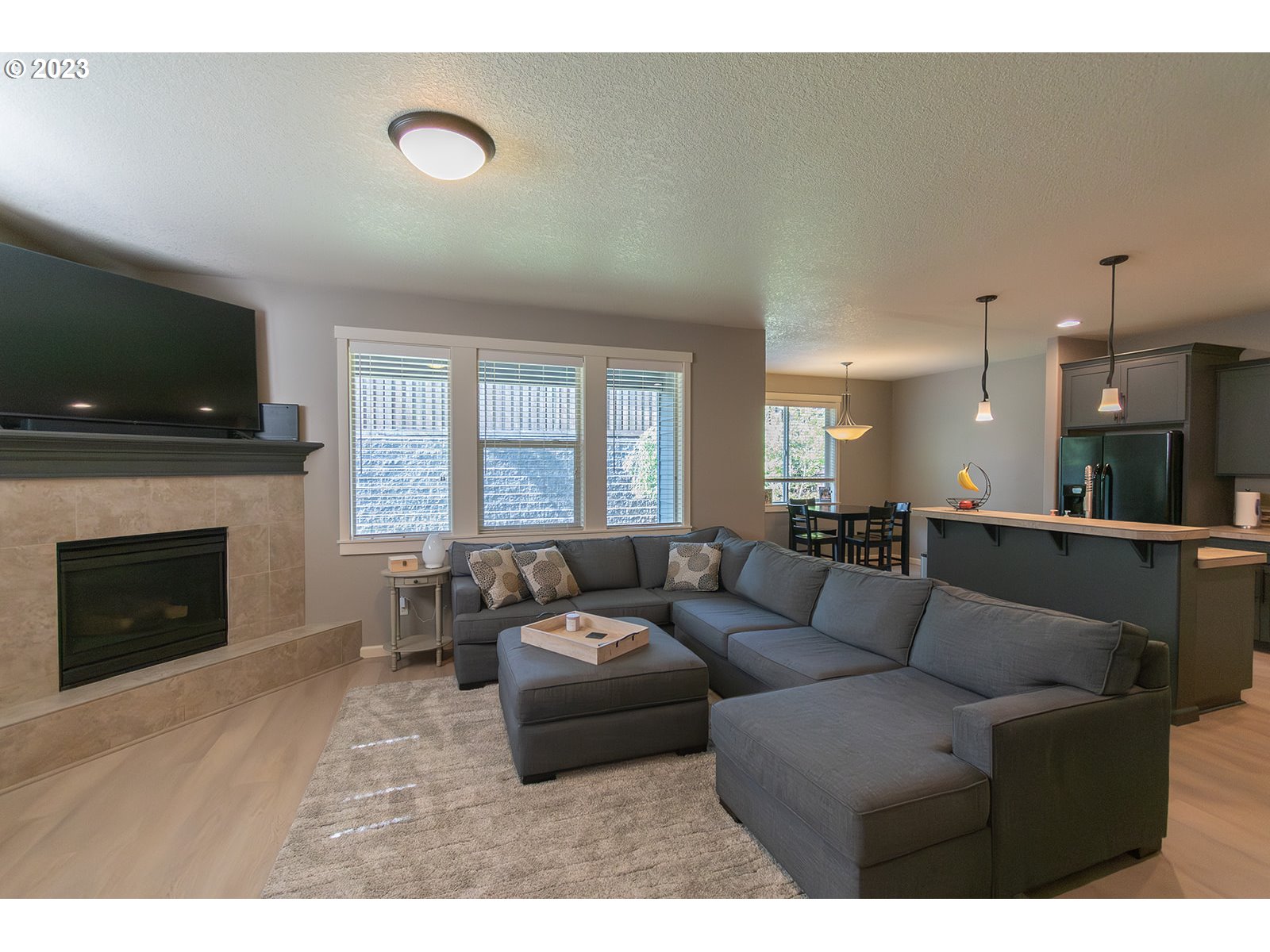 4309 North 4th Circle Ridgefield, WA 98642 - Photo 8 of 24 a living room with furniture and a fireplace