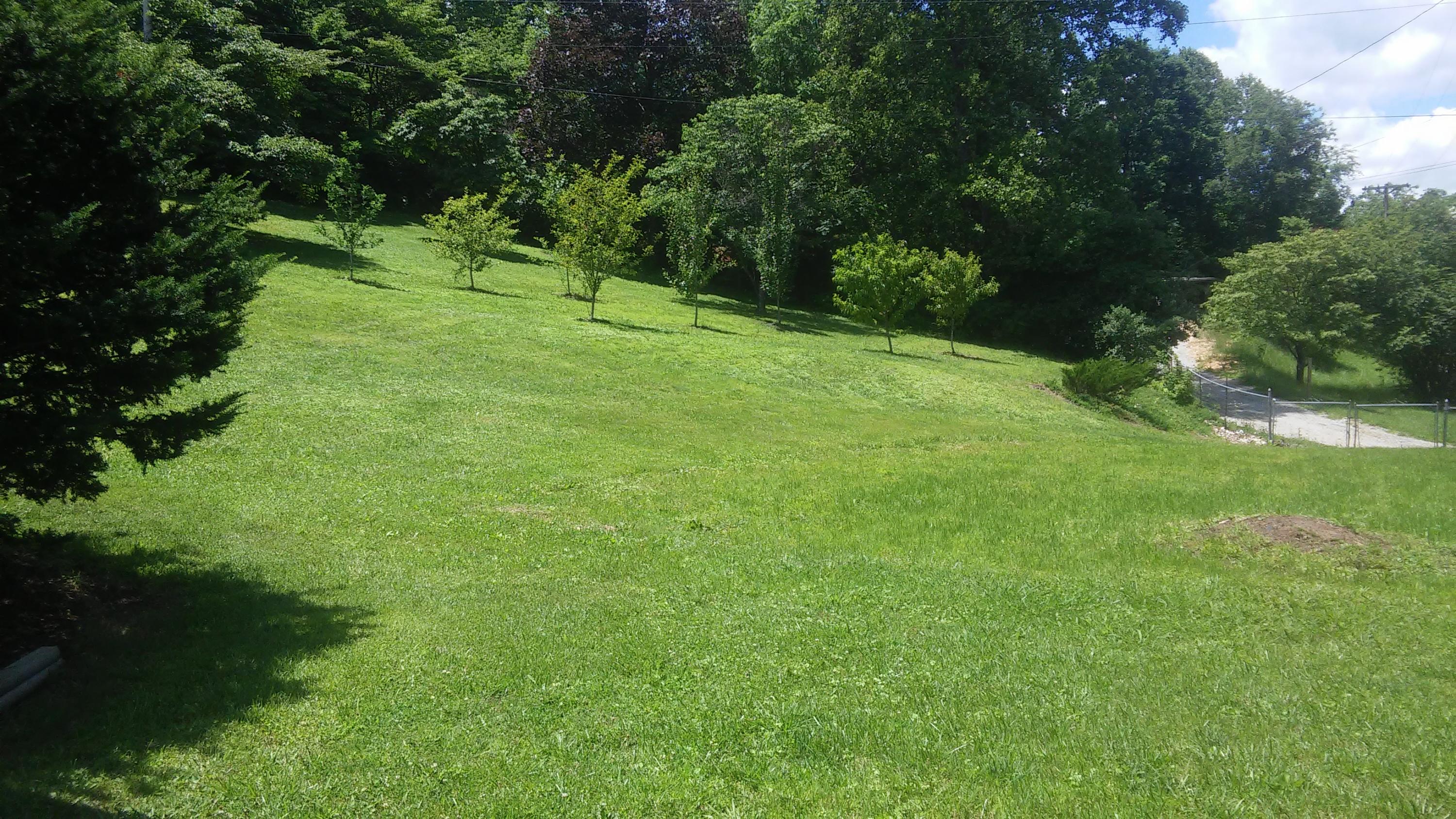 350 McDeerman Road Jacksboro, TN 37757 - Photo 18 of 19 0607171327a