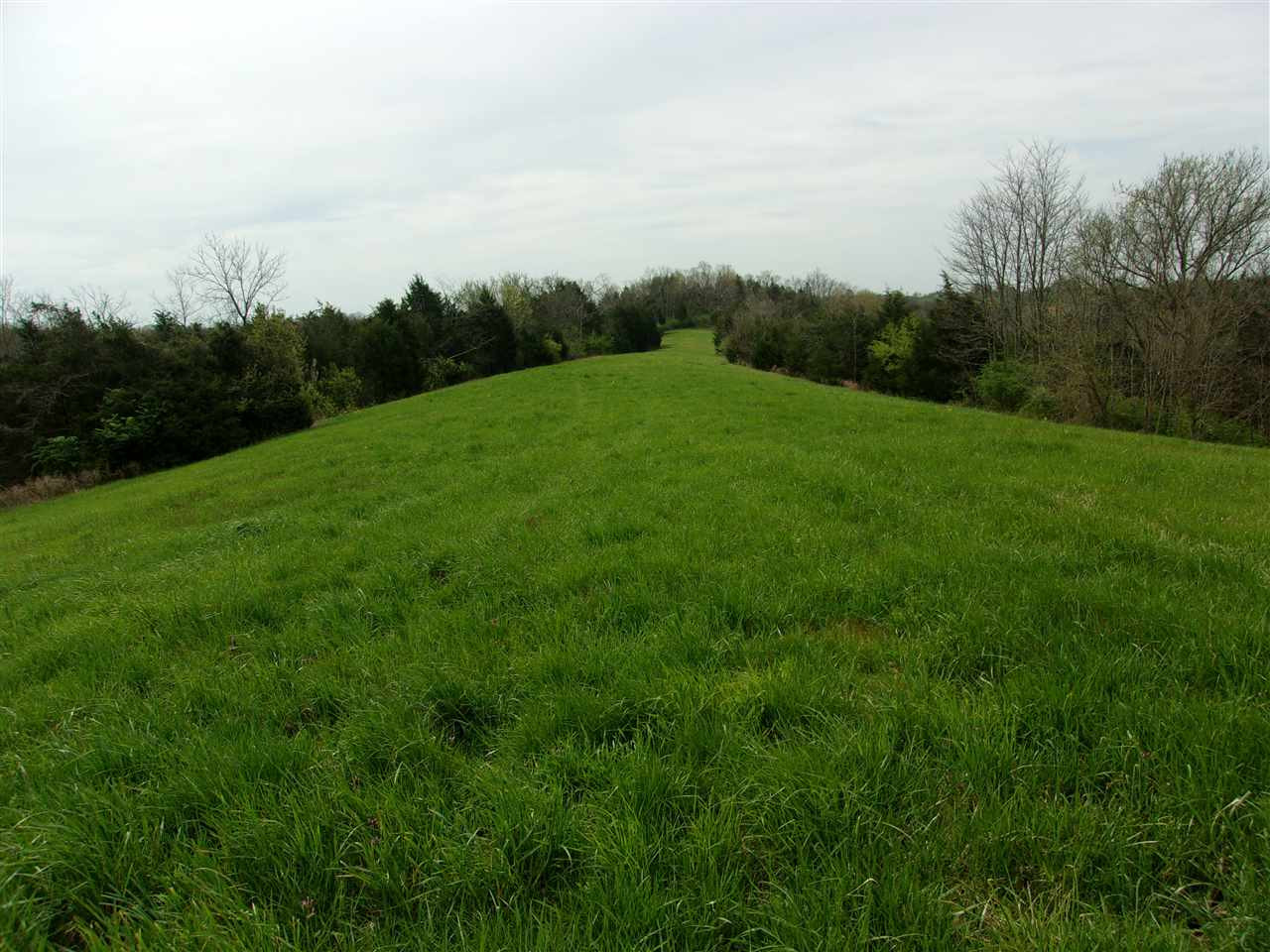 2473 Salem Ridge Road Brooksville, KY 41004 - Photo 9 of 48 Gallery Image 9