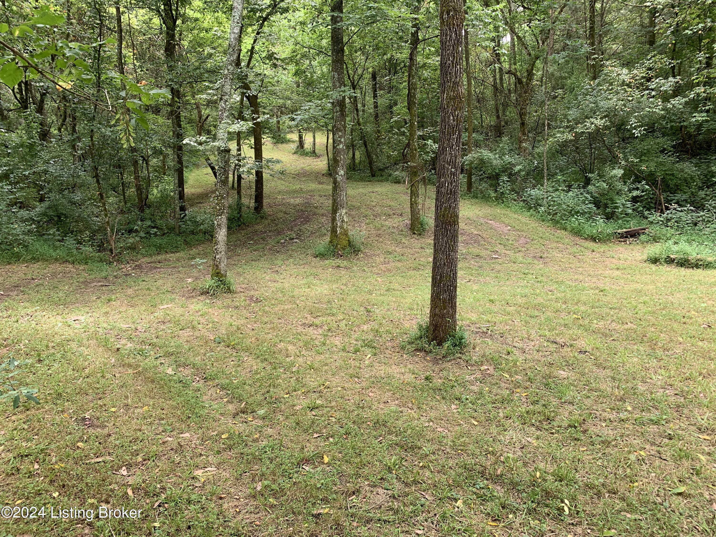 1001 Willisburg Road Lawrenceburg, KY 40342 - Photo 68 of 80 IMG_5246