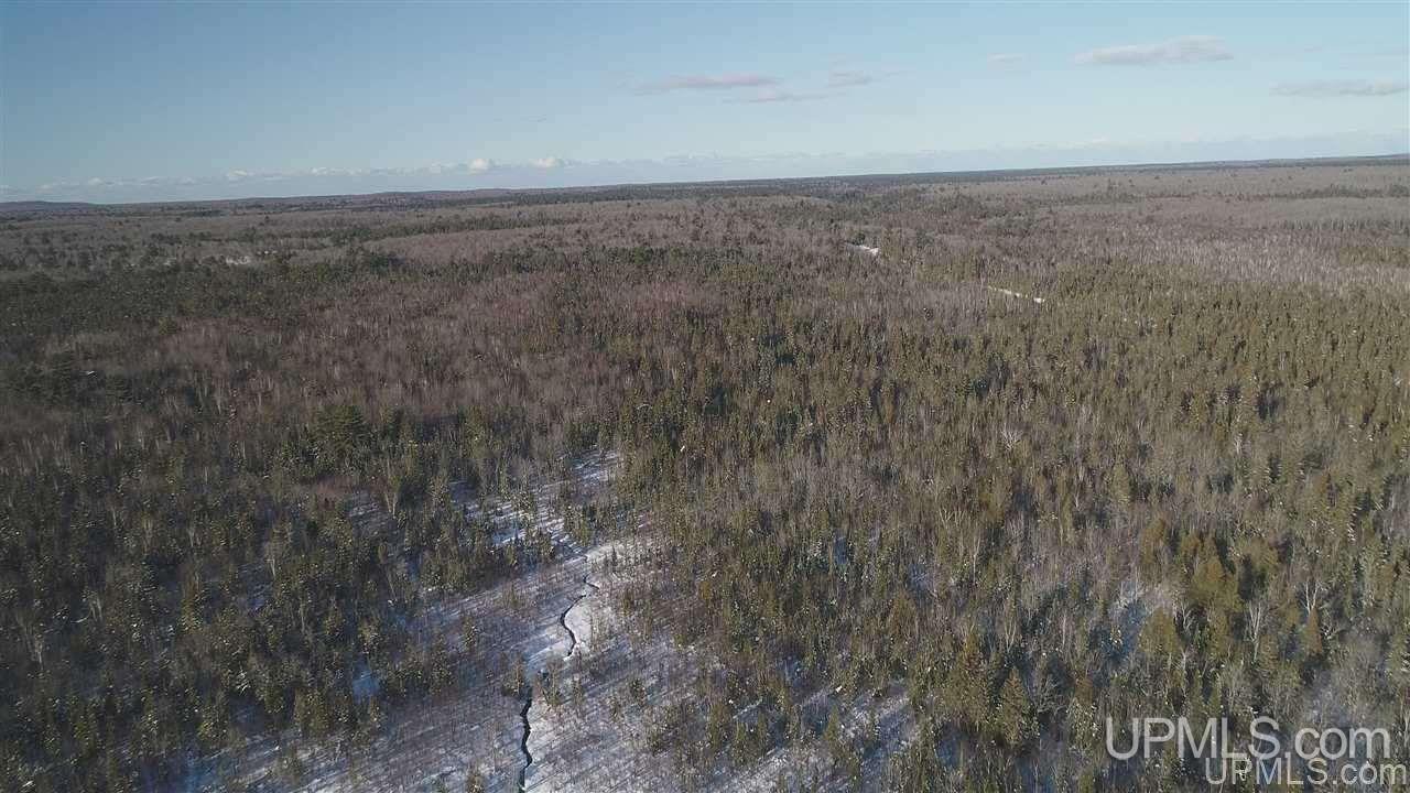 80-acres Co Rd N415 McMillan, MI 49853 - Photo 25 of 36