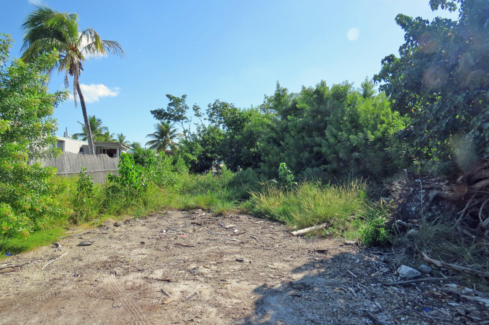 0 Grassy Road Key Largo, FL 33037 - Photo 3 of 6 partially Cleared Lot