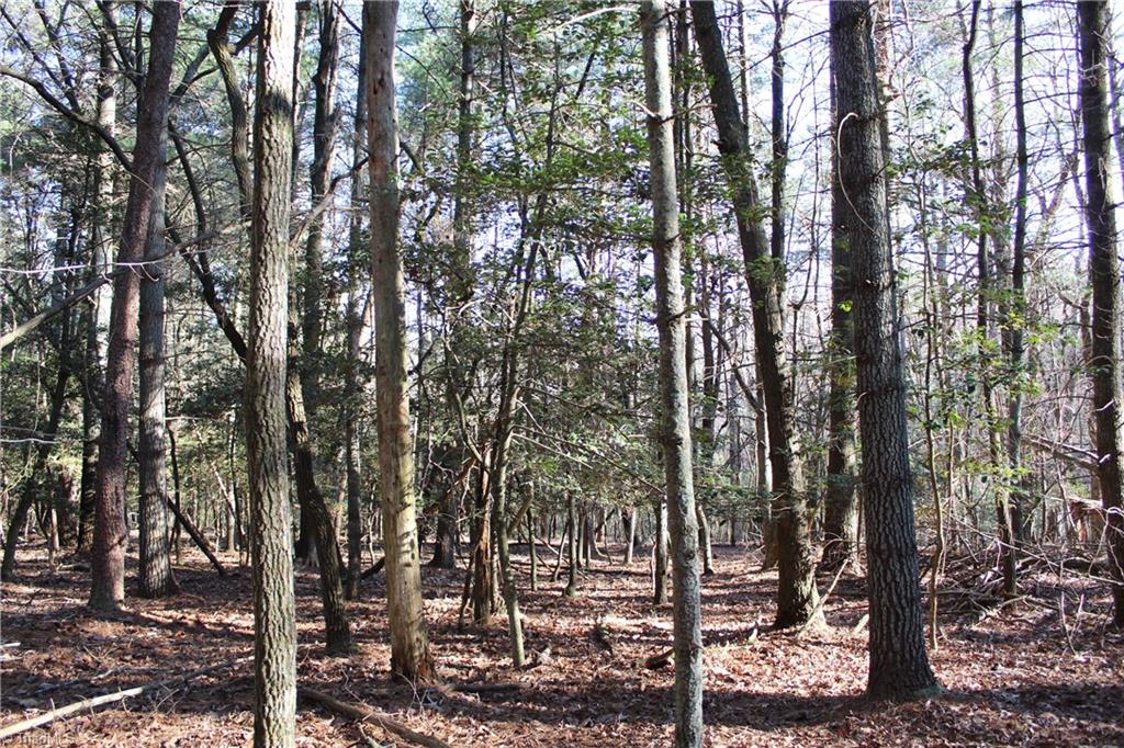 468 Sylvan Road Thurmond, NC 28683 - Photo 11 of 12