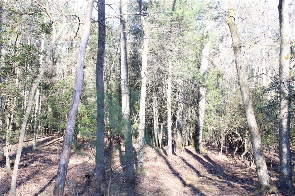 468 Sylvan Road Thurmond, NC 28683 - Photo 12 of 12