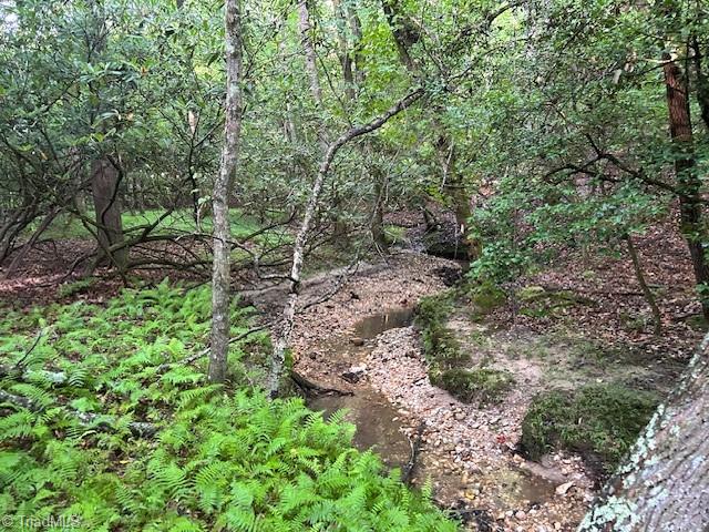 468 Sylvan Road Thurmond, NC 28683 - Photo 2 of 12