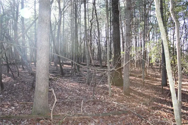 $129,000 | 468 Sylvan Road, Thurmond, NC 28683