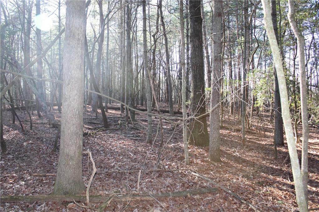 468 Sylvan Road Thurmond, NC 28683 - Photo 3 of 12