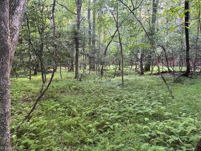 468 Sylvan Road Thurmond, NC 28683 - Photo 5 of 12