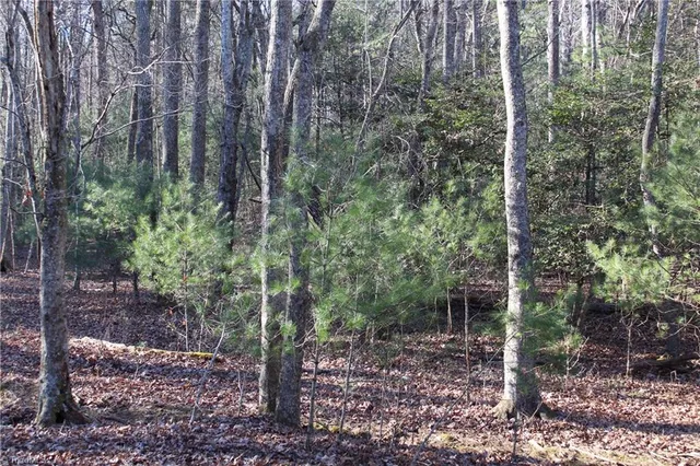 $129,000 | 468 Sylvan Road, Thurmond, NC 28683