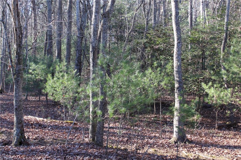 468 Sylvan Road Thurmond, NC 28683 - Photo 6 of 12