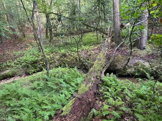 $129,000 | 468 Sylvan Road, Thurmond, NC 28683