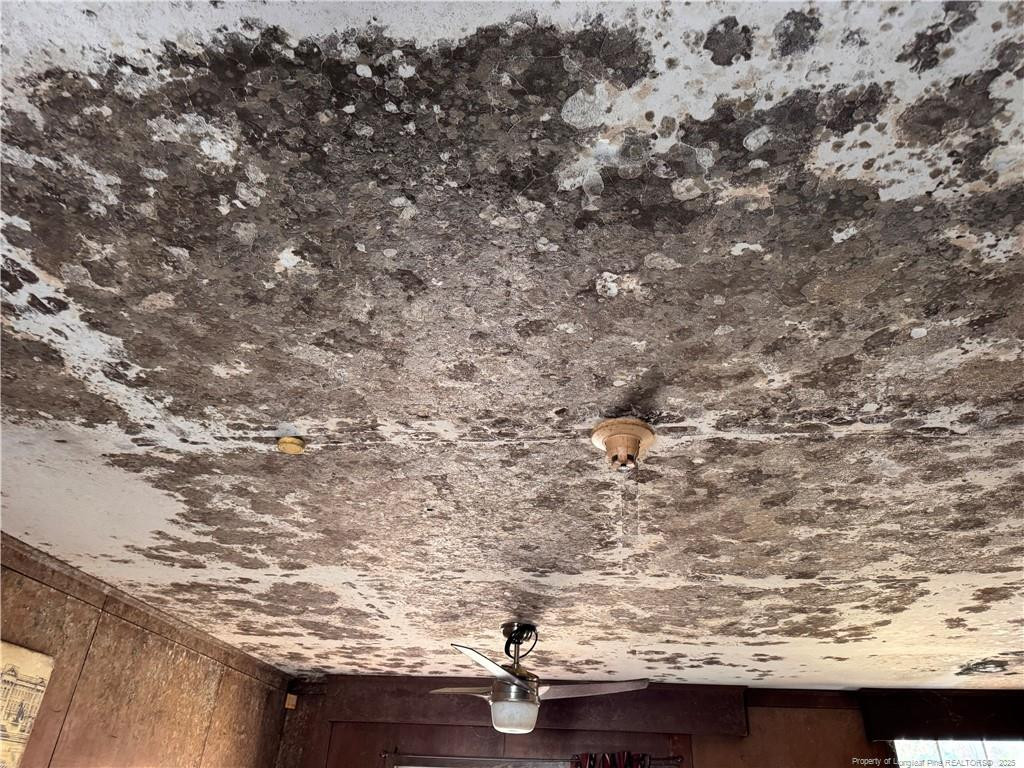 1108 North Fulton Street Raeford, NC 28376 - Photo 13 of 13 Moldy inlaw suite