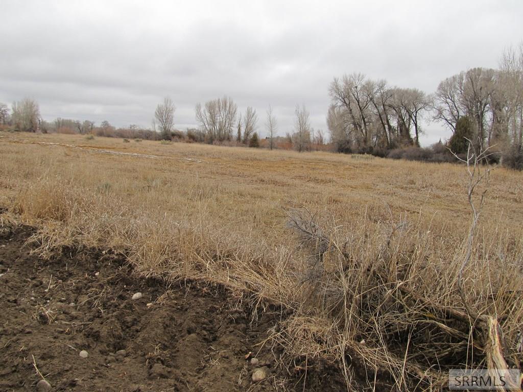 4625 East 200 Road North Rigby, ID 83442 - Photo 4 of 7