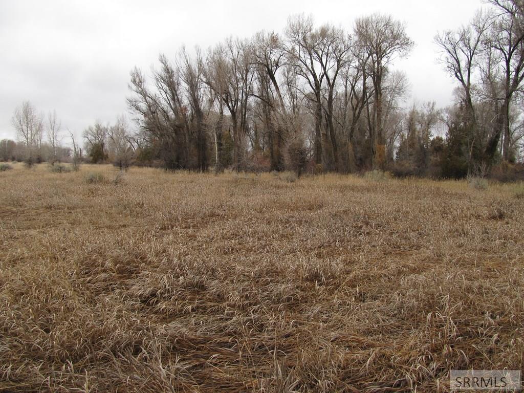 4625 East 200 Road North Rigby, ID 83442 - Photo 7 of 7