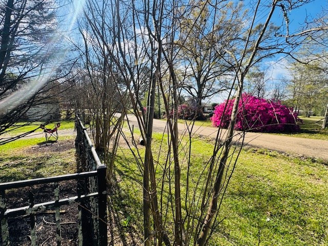 812 Union Road Tylertown, MS 39667 - Photo 5 of 29 Photo 5