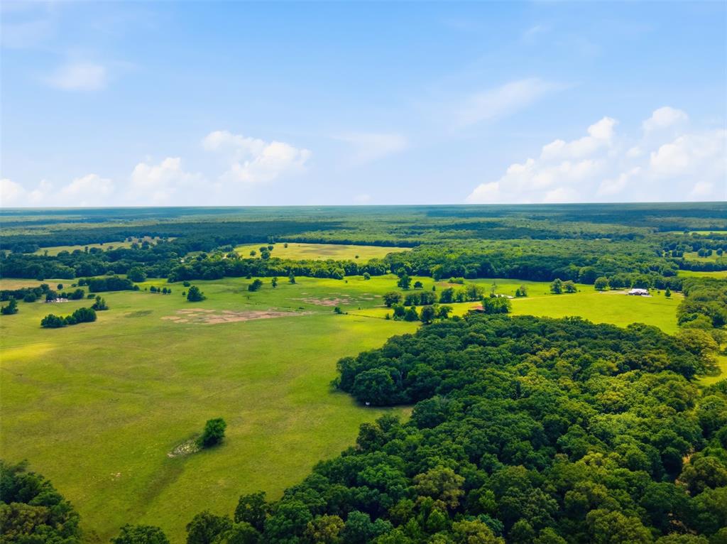 1663 County Road 1405 Bogata, TX 75417 - Photo 9 of 36