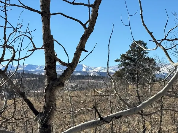 a view of a tree