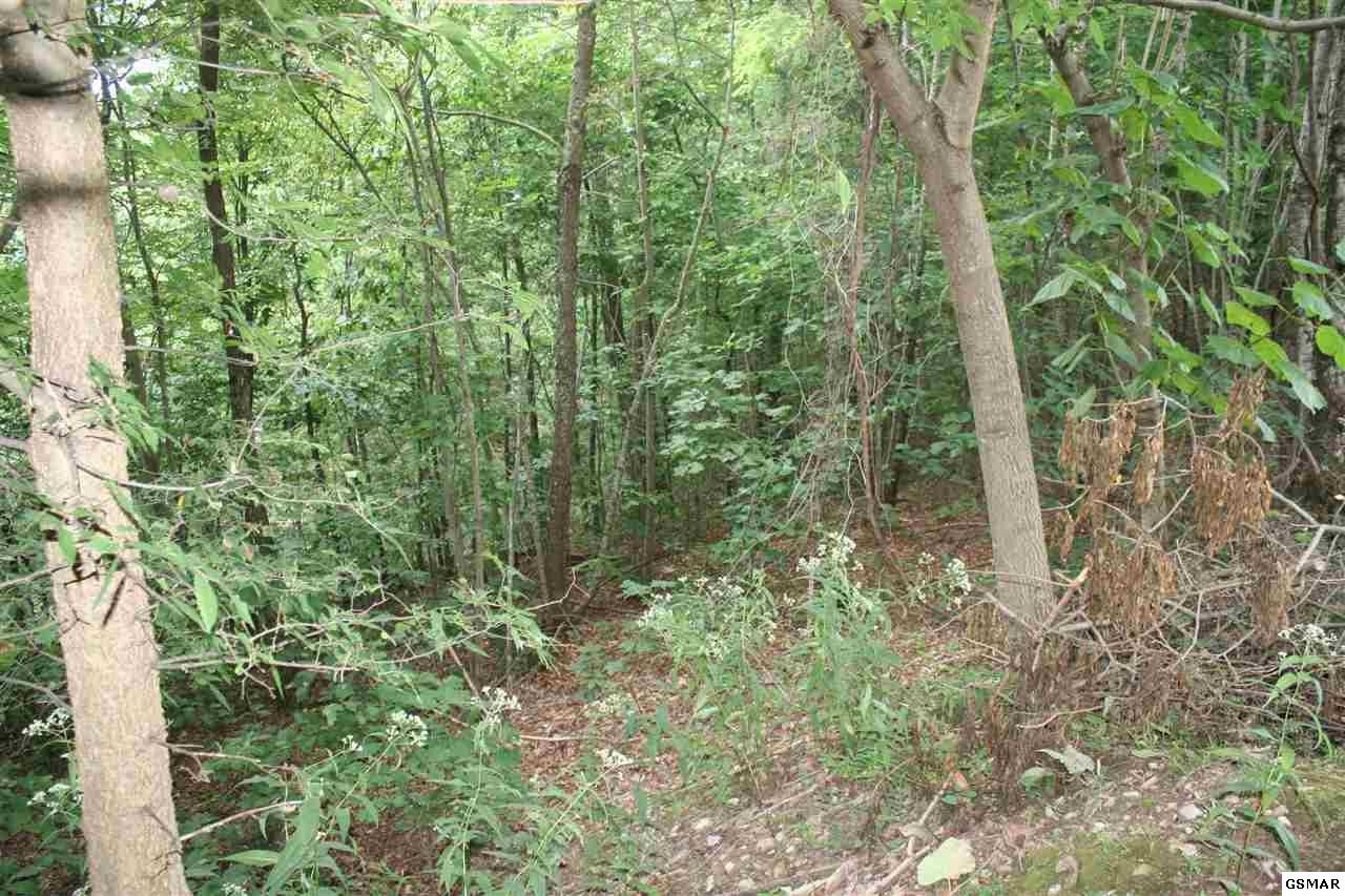 0 Shell Mountain Road Sevierville, TN 37876 - Photo 9 of 26 Gallery Image 9