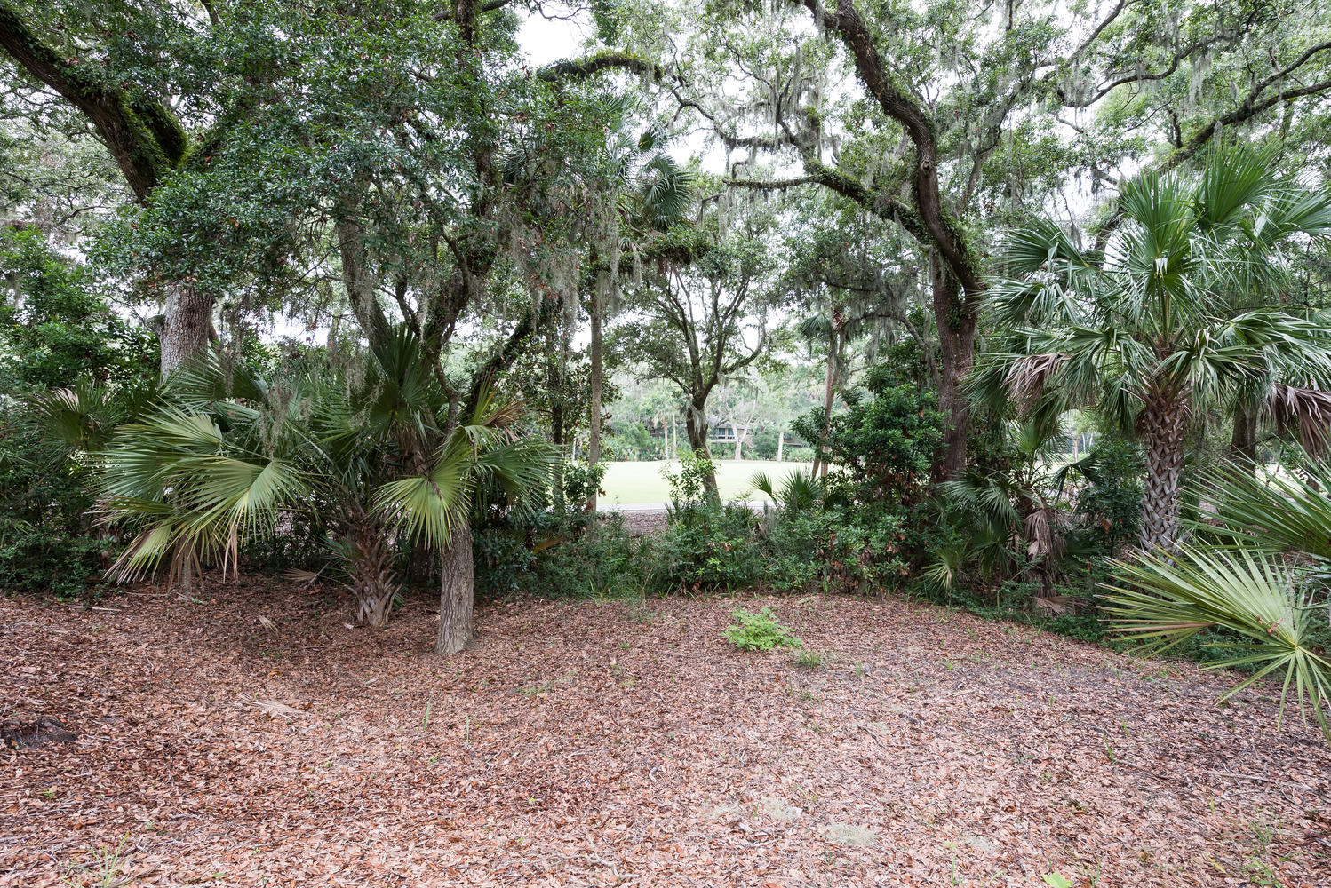 2626 High Hammock Road Johns Island, SC 29455 - Photo 36 of 40 Golf View