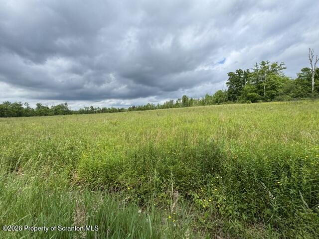 Lot 3 Reynolds Road Dalton, PA 18414 - Photo 5 of 6 IMG_0452