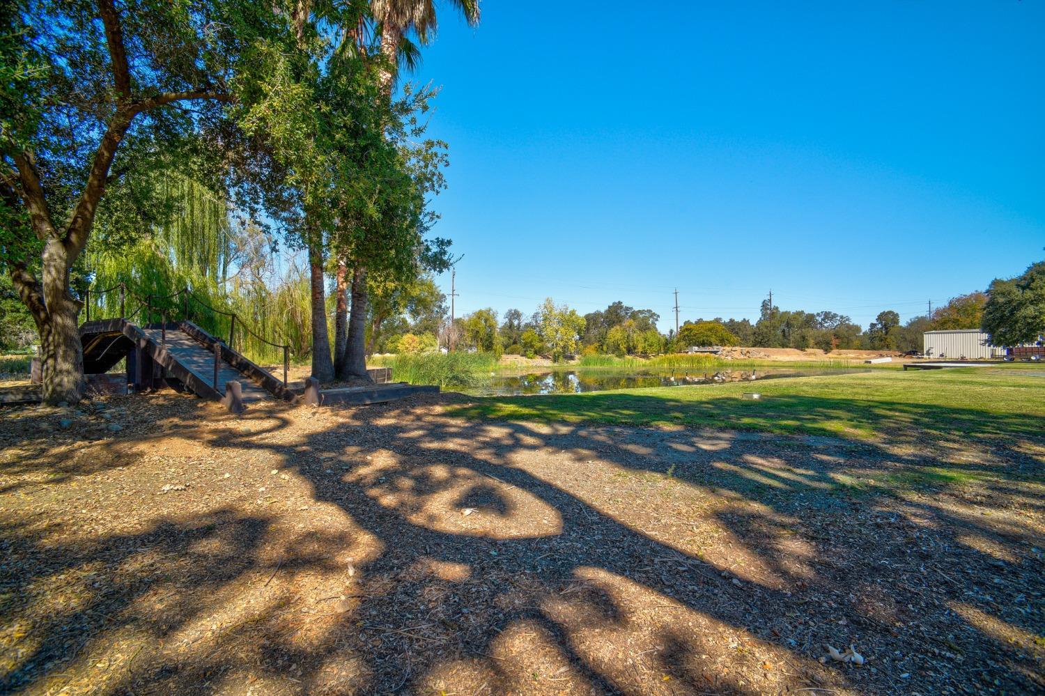 8720 Tavernor Road Wilton, CA 95693 - Photo 41 of 83 a view of a street with a yard