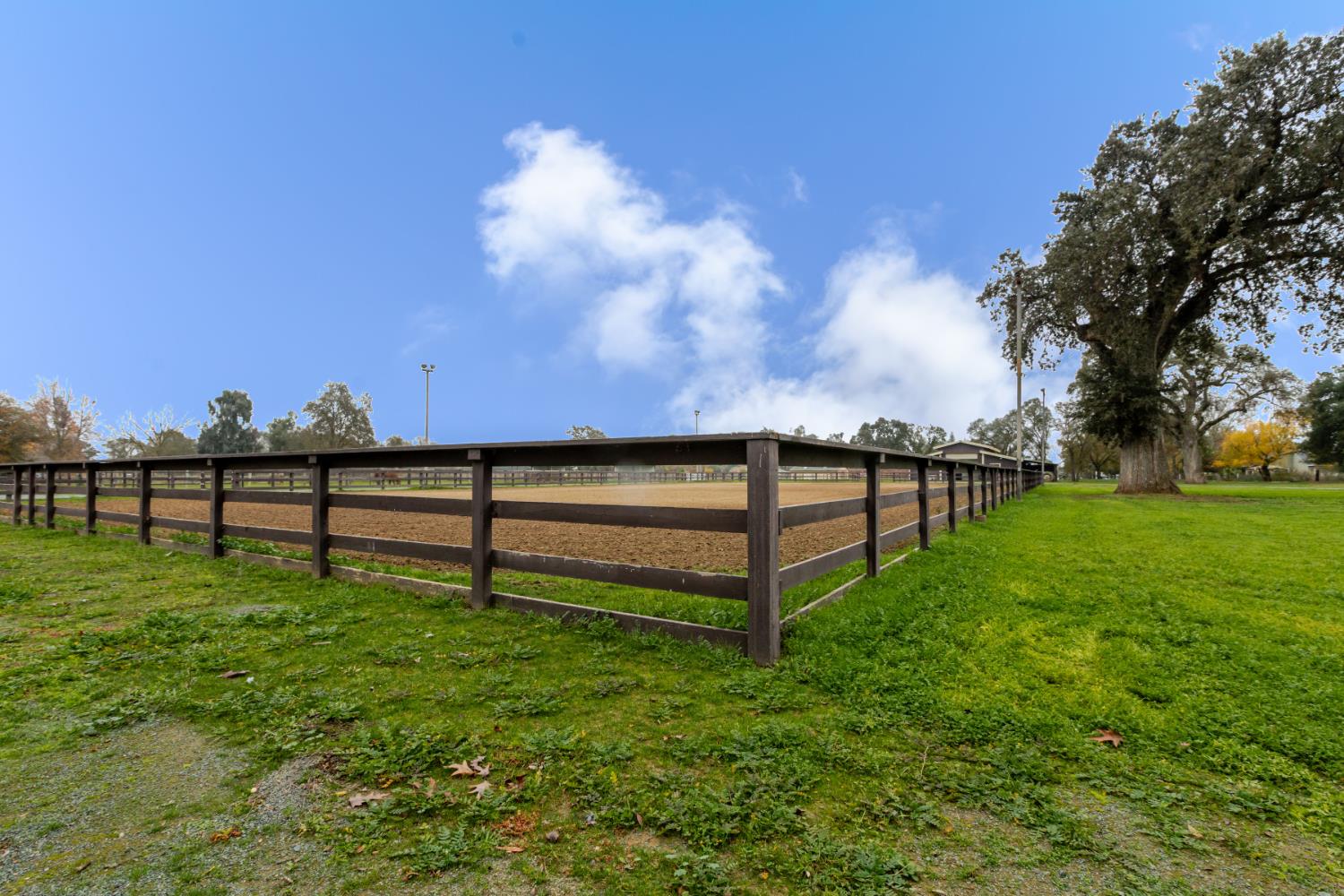 8720 Tavernor Road Wilton, CA 95693 - Photo 70 of 83 a view of a bench in front of a park with large trees