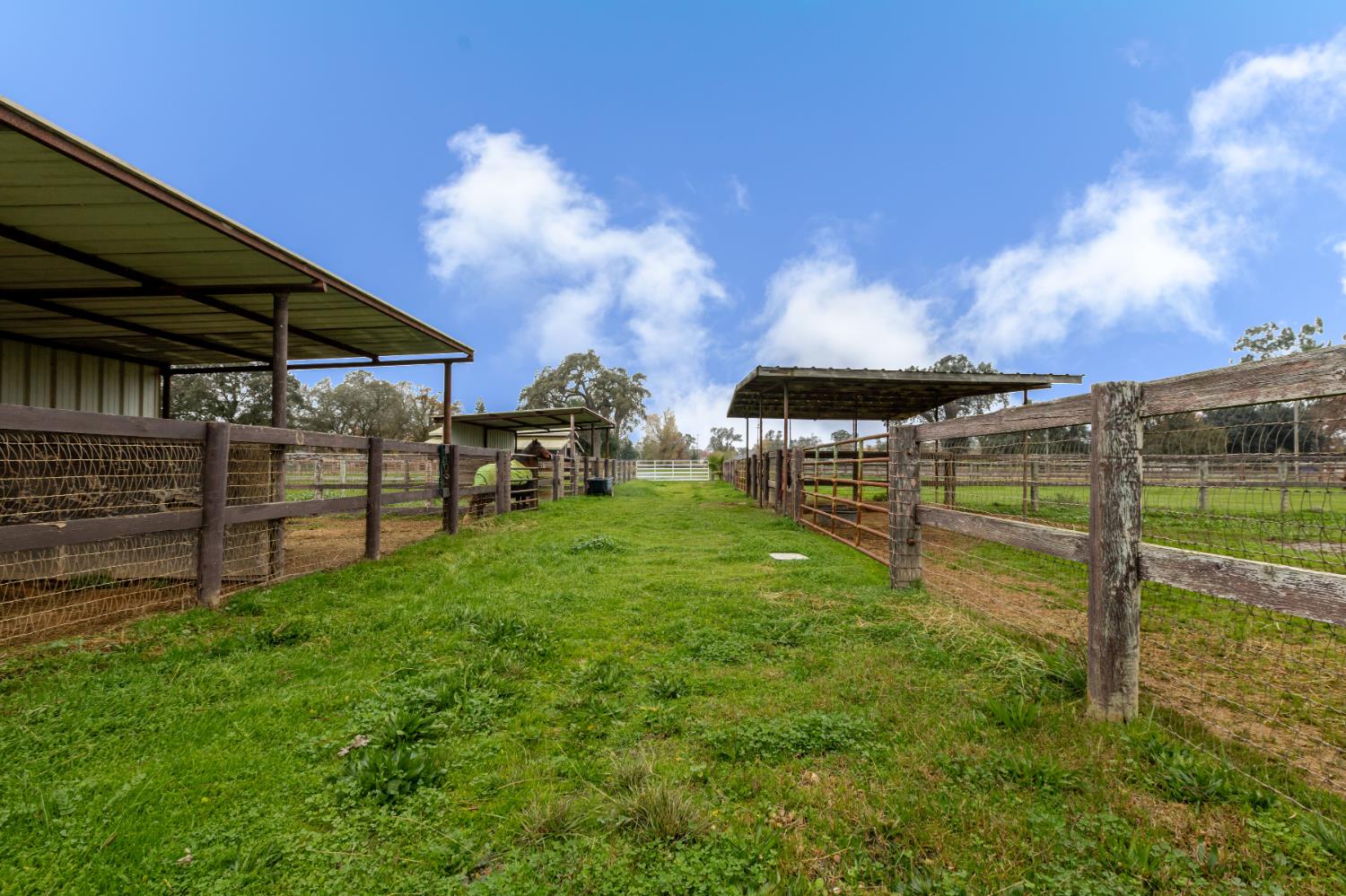 8720 Tavernor Road Wilton, CA 95693 - Photo 80 of 83