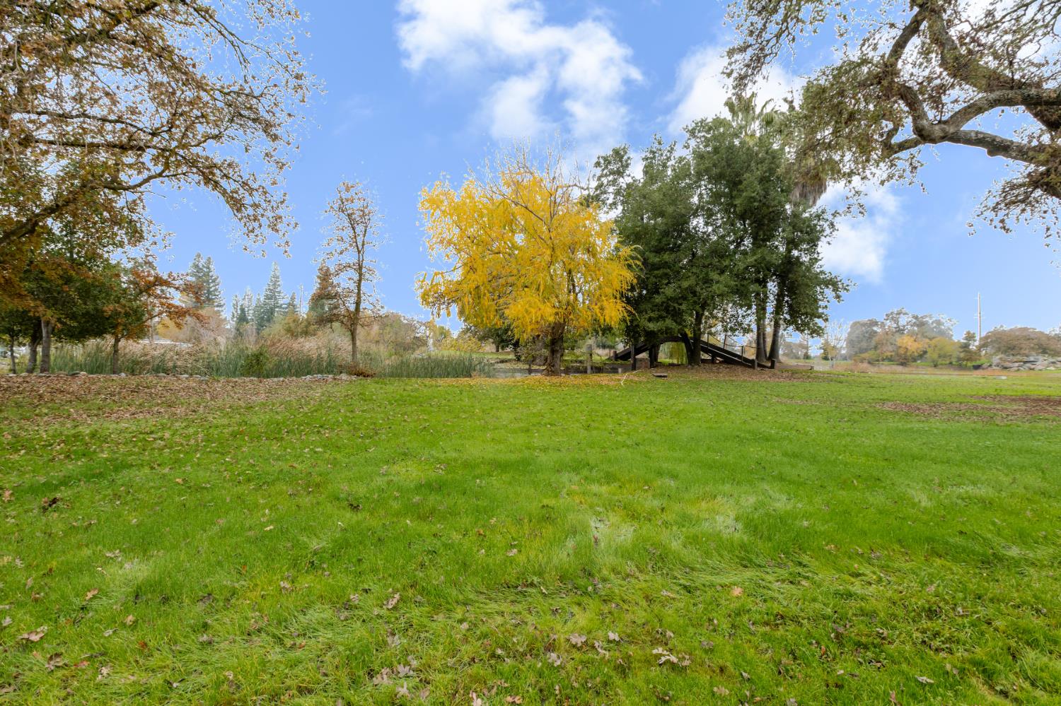 8720 Tavernor Road Wilton, CA 95693 - Photo 83 of 83 a backyard of a house with lots of green space