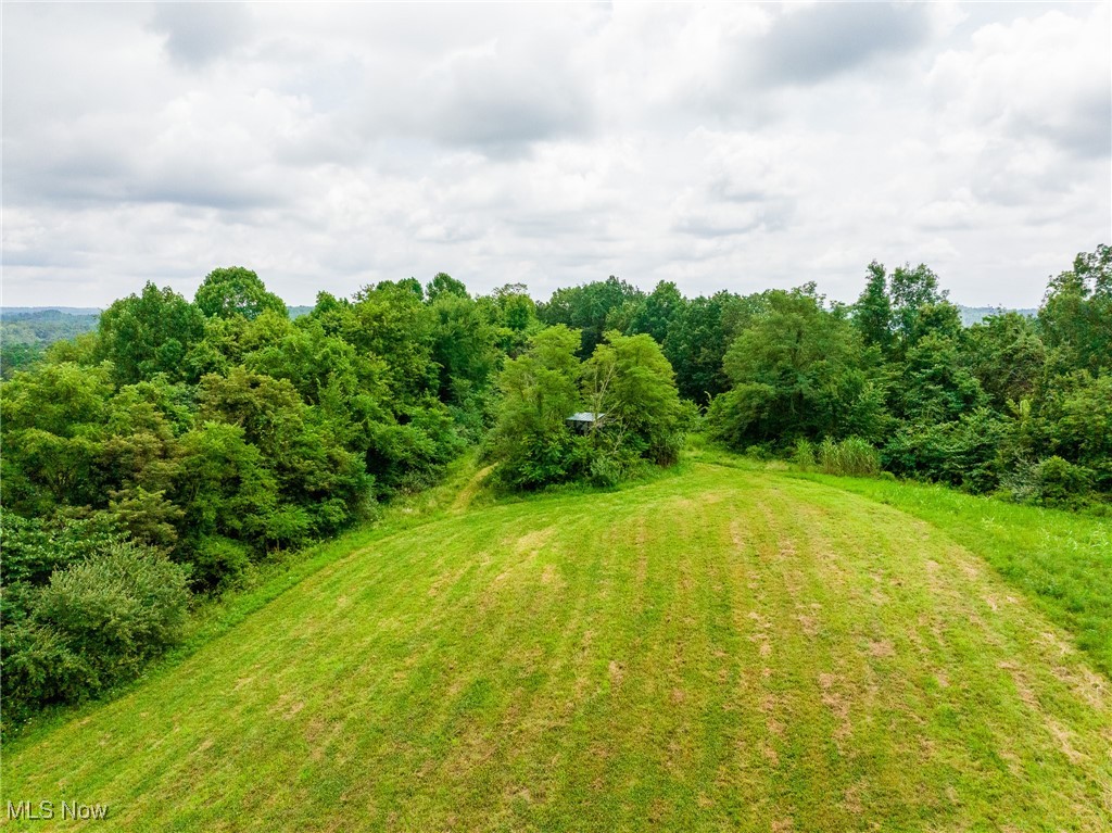 Harrons Ridge Road Dexter City, OH 45727 - Photo 13 of 50 View of yard