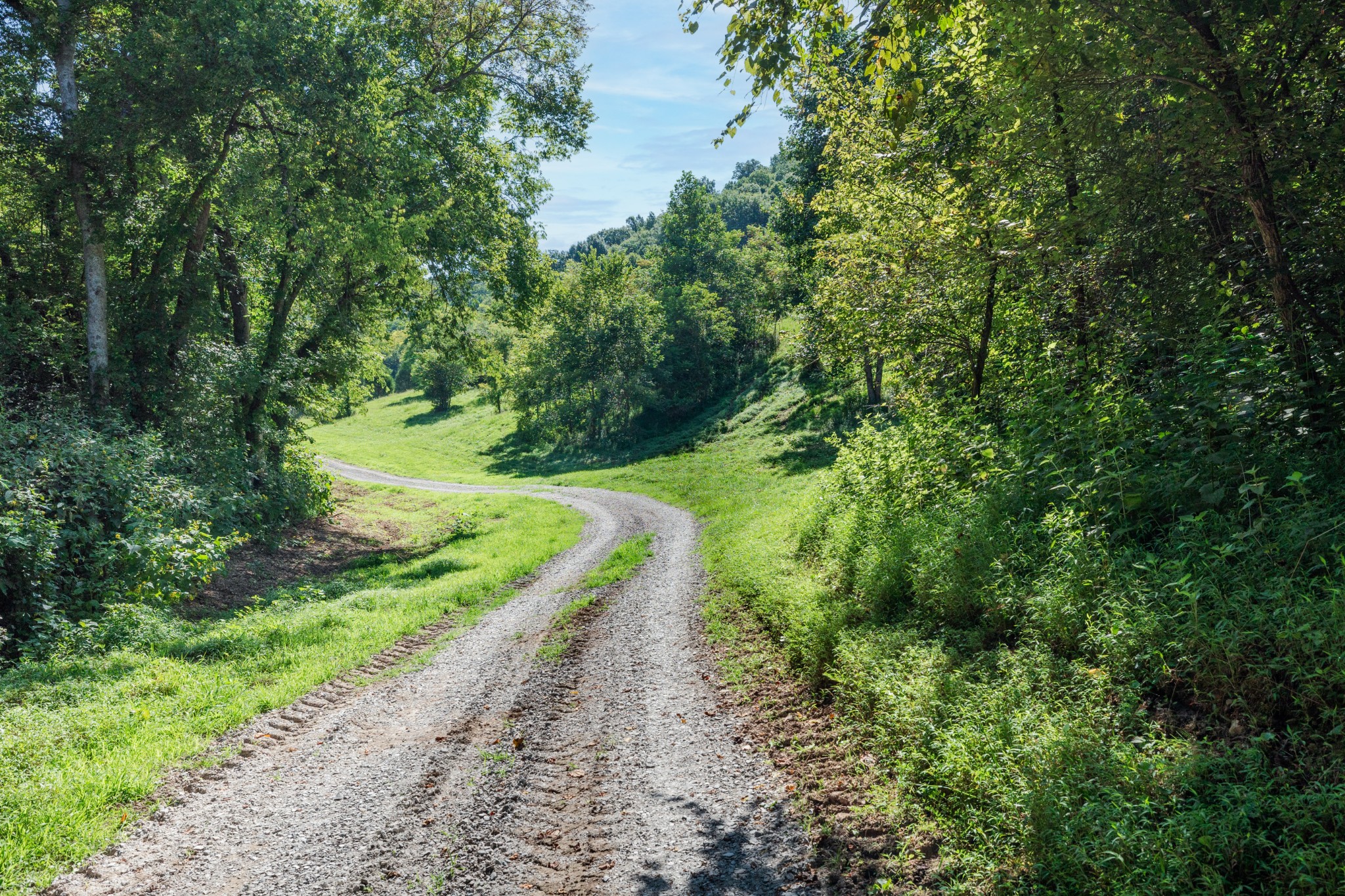 2952 Springplace Road Belfast, TN 37019 - Photo 14 of 45 Gallery Image 14