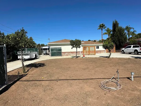 a plant that is sitting in a fruit tree
