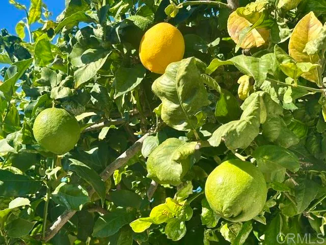 $950,000 | 2445 South Stage Coach Lane, Fallbrook, CA 92028