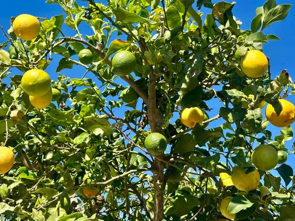 $880,000 | 2445 South Stage Coach Lane, Fallbrook, CA 92028