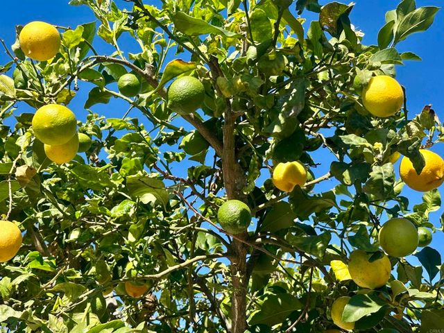 $959,900 | 2445 South Stage Coach Lane, Fallbrook, CA 92028