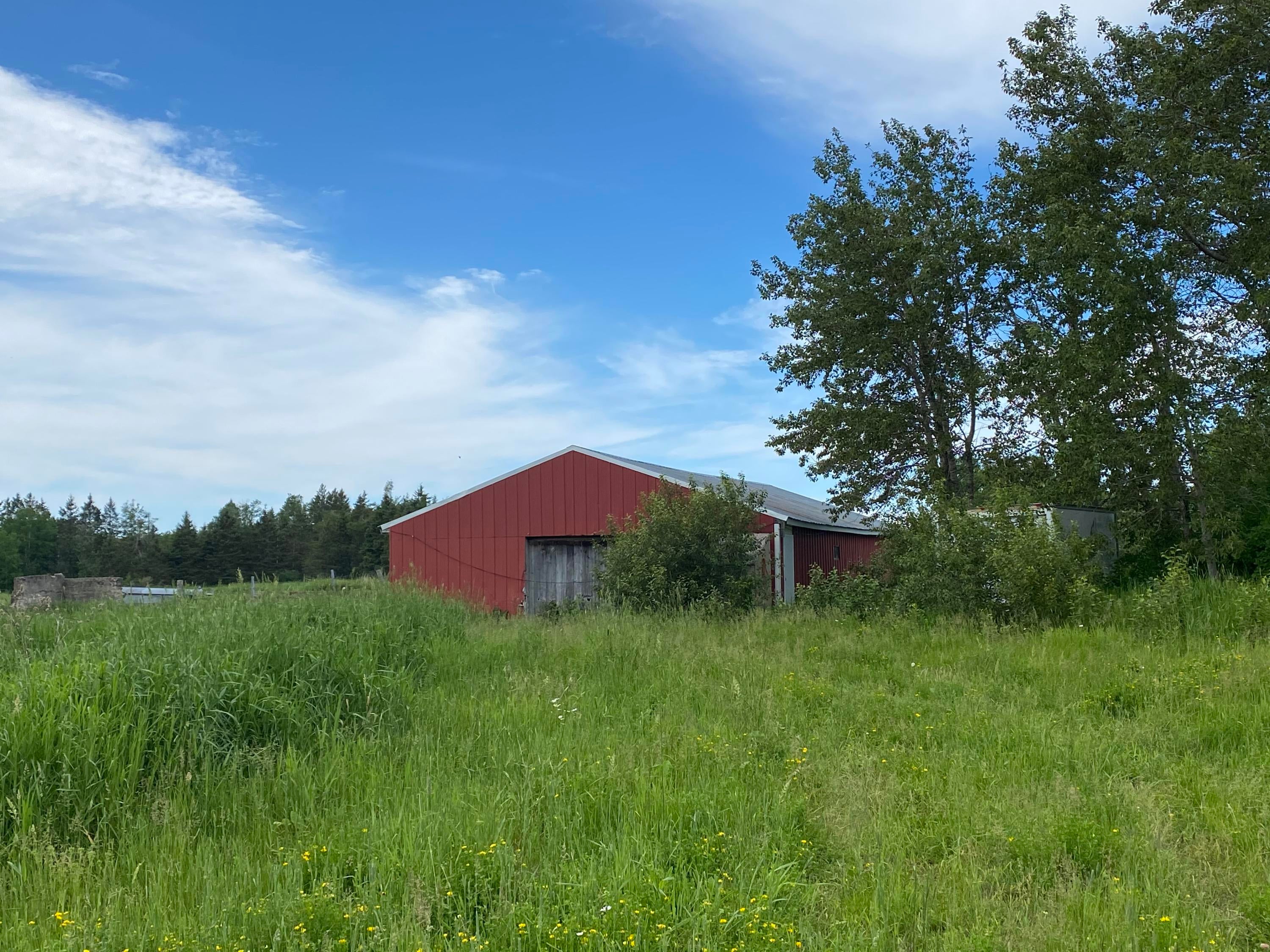 761 East 12 Mile Road Dafter, MI 49724 - Photo 8 of 10 Gallery Image 8