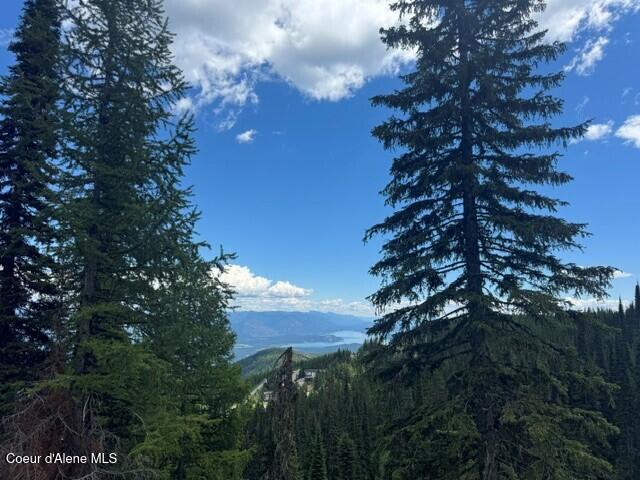 Nna Tall Timber Road Sandpoint, ID 83864 - Photo 7 of 10 10