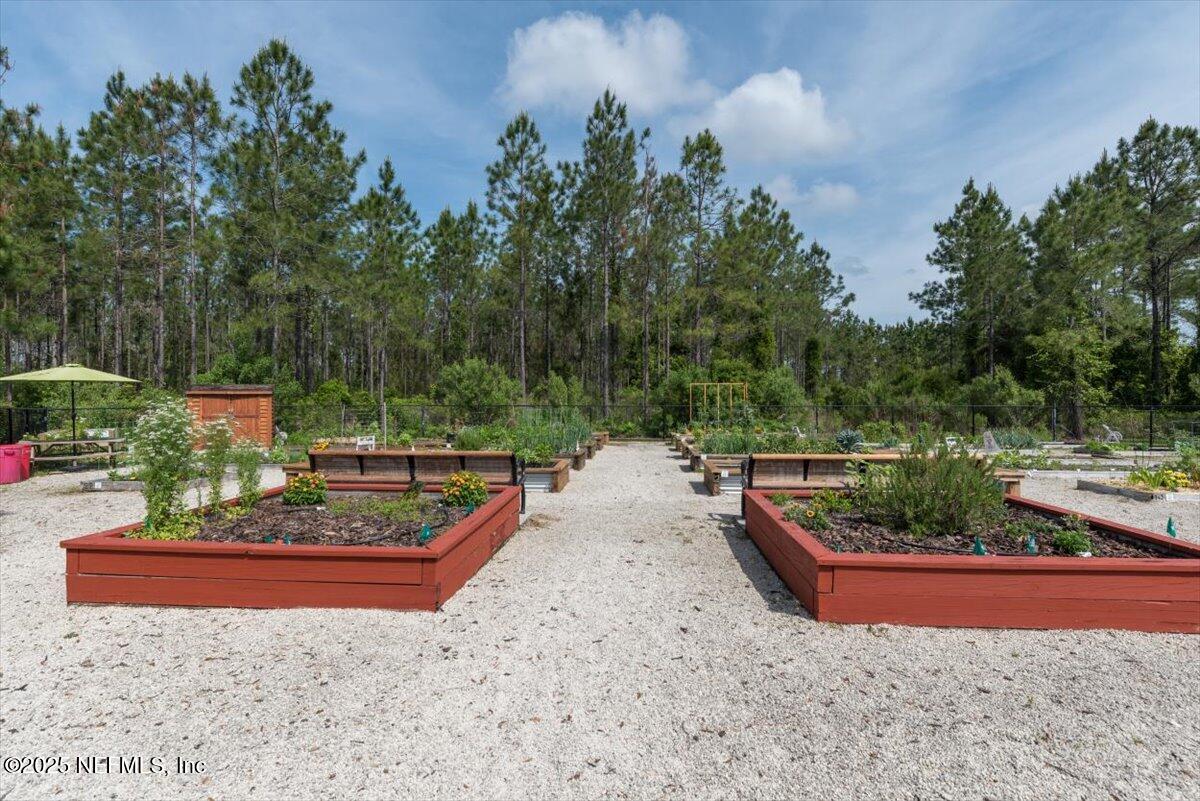 16 Samantha Court St. Augustine, FL 32092 - Photo 48 of 52 Garden