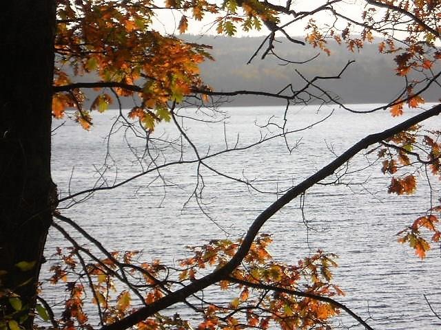 558 River Road Bucksport, ME 04416 - Photo 8 of 18 Photo