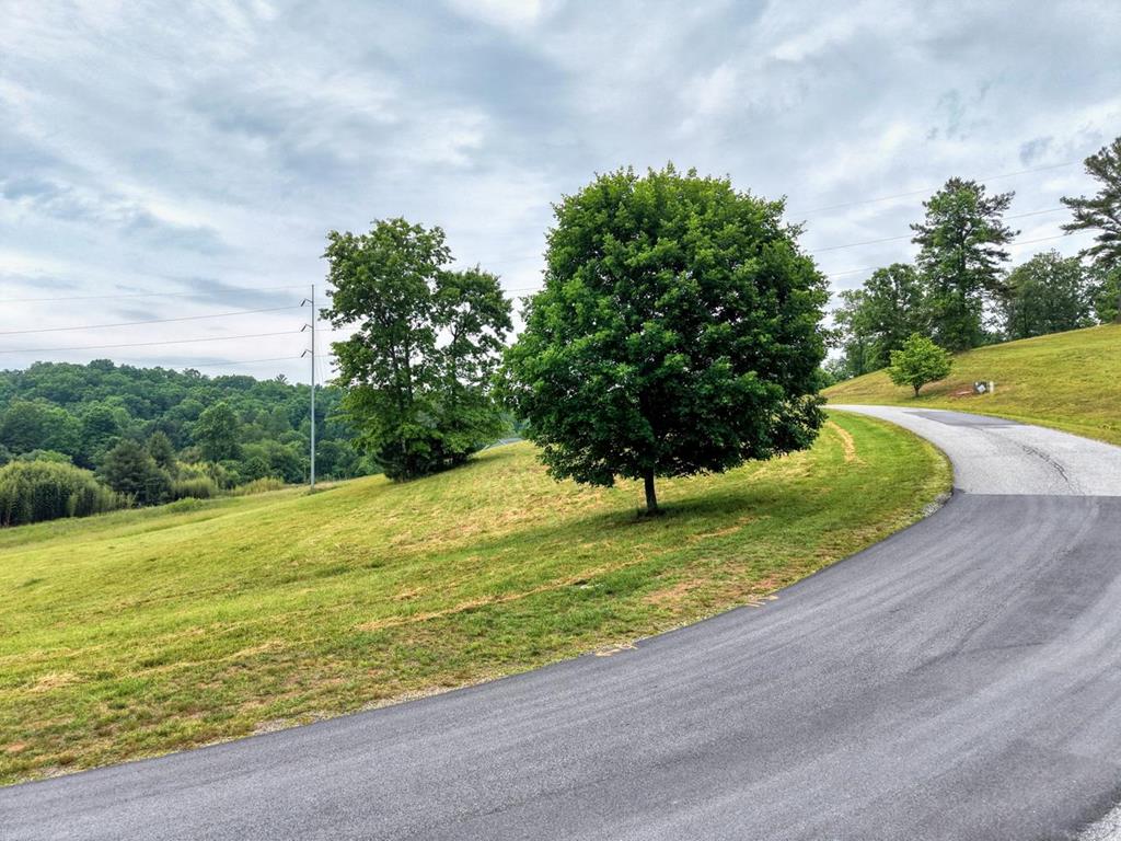 Lot 18 Riverside Lake Blairsville, GA 30512 - Photo 1 of 19 Main View