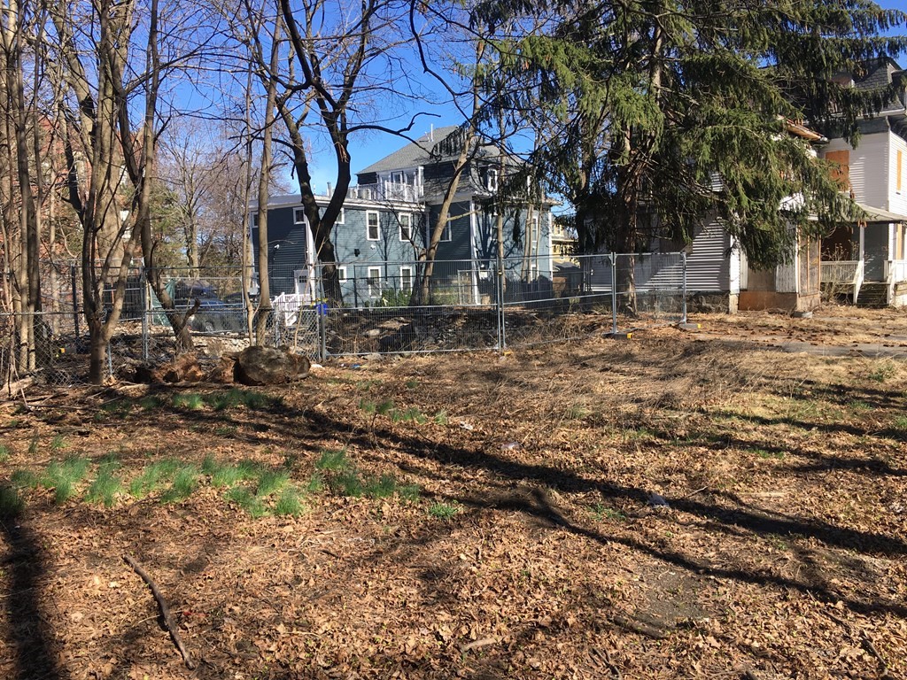 67 Perrin Street Boston, MA 02119 - Photo 8 of 20 Gallery Image 8