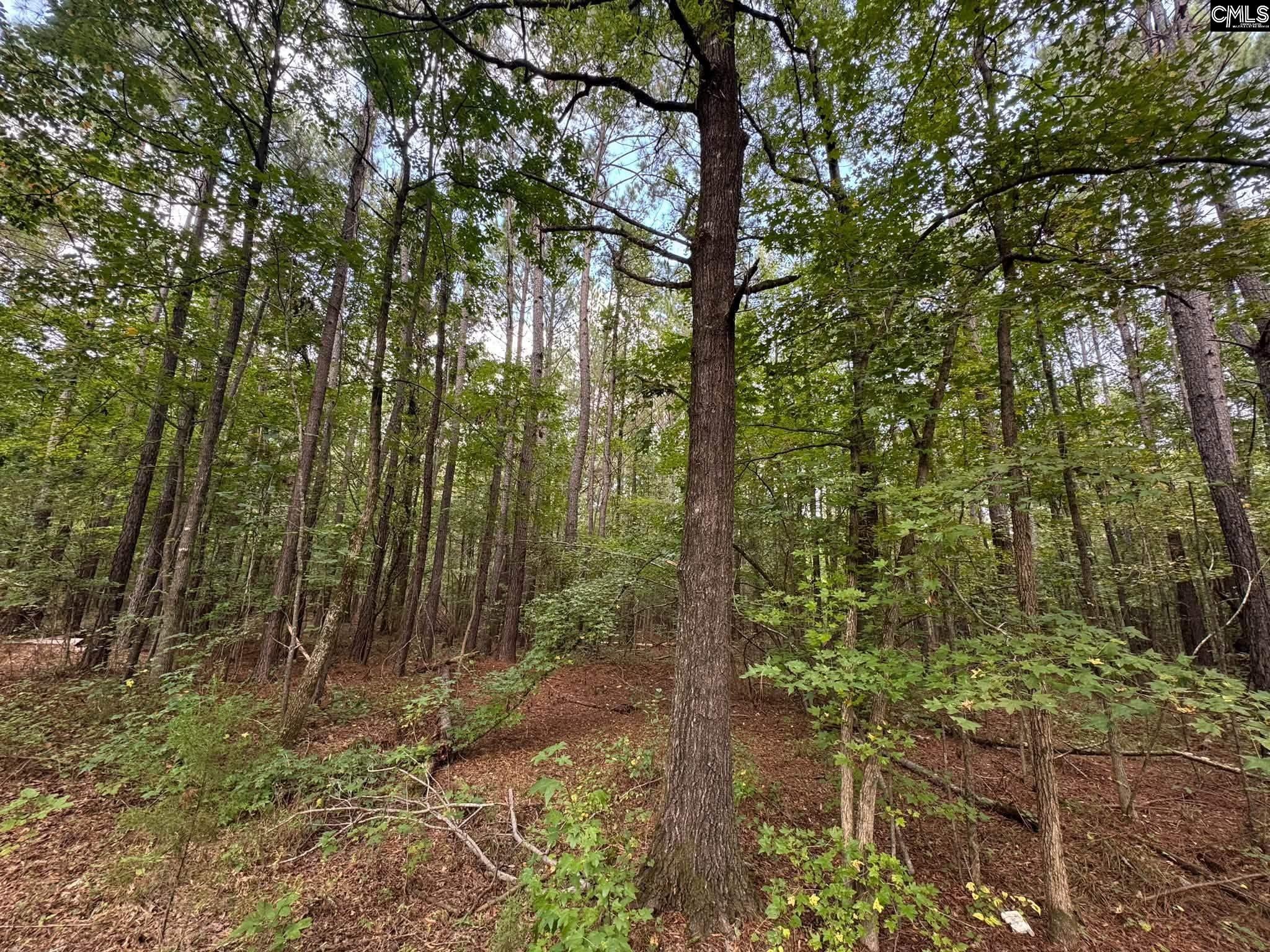 Pencreek Road Johnston, SC 29832 - Photo 37 of 59 Gallery Image 37