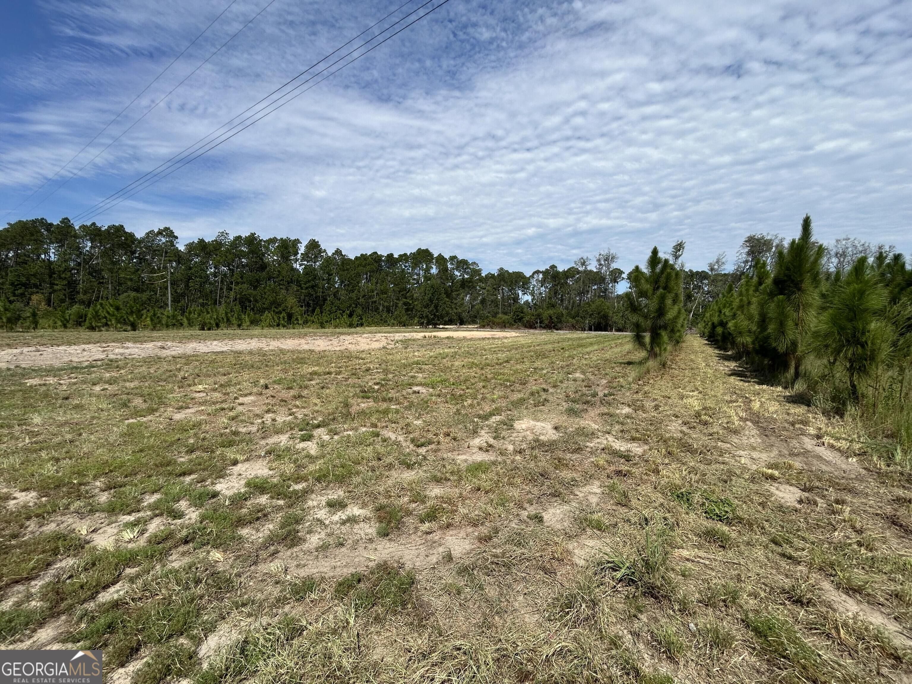 2096 Sellers Road Baxley, GA 31513 - Photo 8 of 21 Gallery Image 8