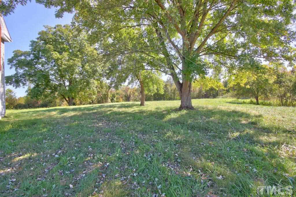 3383 Quick Road Ruffin, NC 27326 - Photo 8 of 25 Gallery Image 8