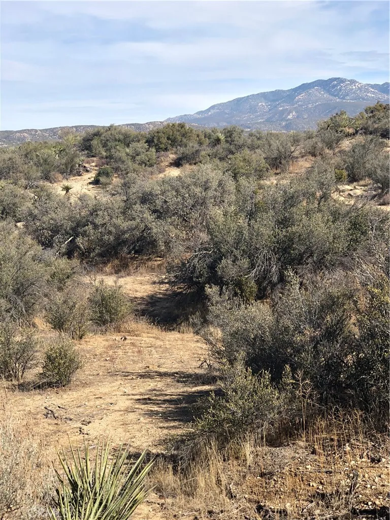 0 Ramsey Road Anza, CA 92539 - Photo 11 of 16 View of parcel.