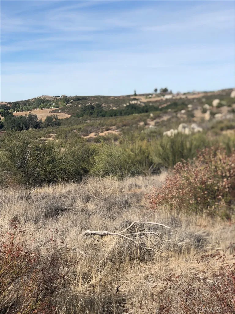 0 Ramsey Road Anza, CA 92539 - Photo 13 of 16 View of parcel.