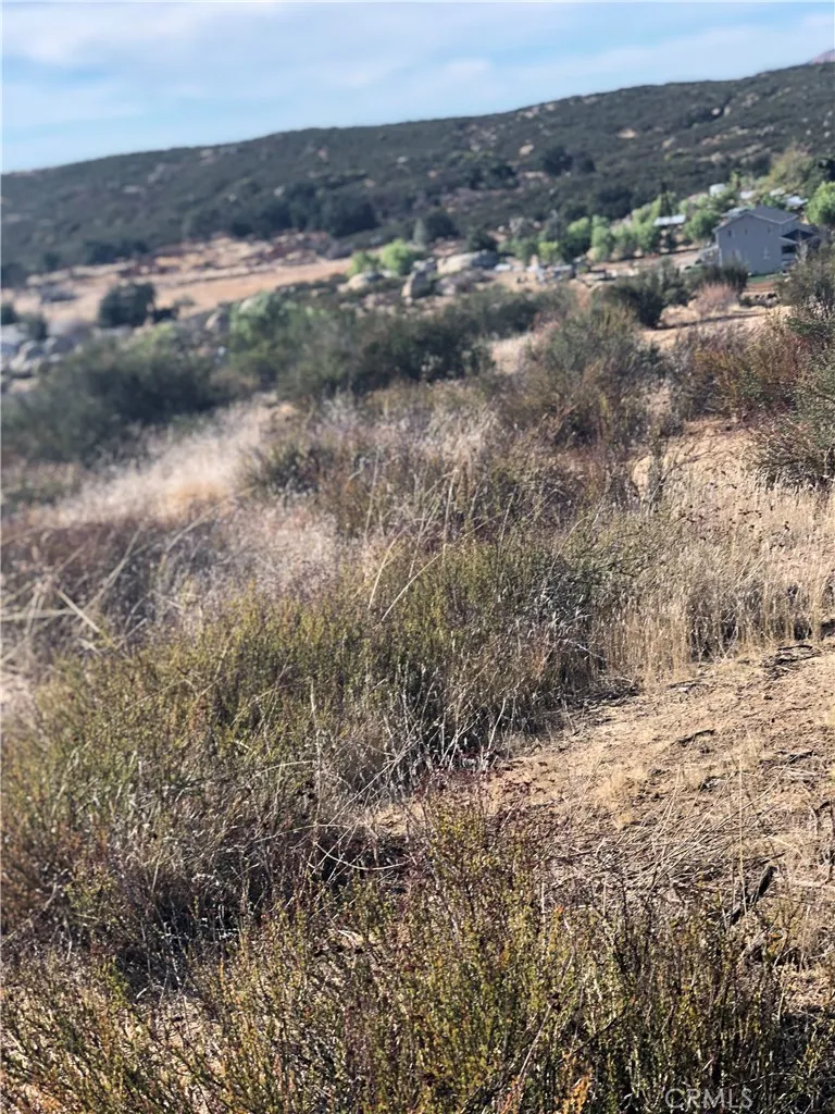 0 Ramsey Road Anza, CA 92539 - Photo 16 of 16 a view of a dry yard with green space