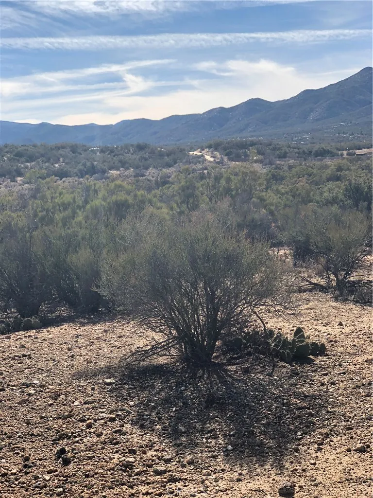 0 Ramsey Road Anza, CA 92539 - Photo 2 of 16 Gentle rolling acreage.