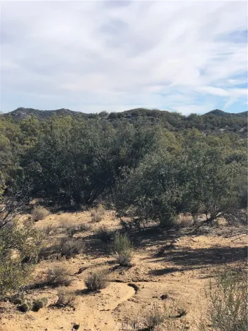 $150,000 | 0 Ramsey Road, Anza, CA 92539