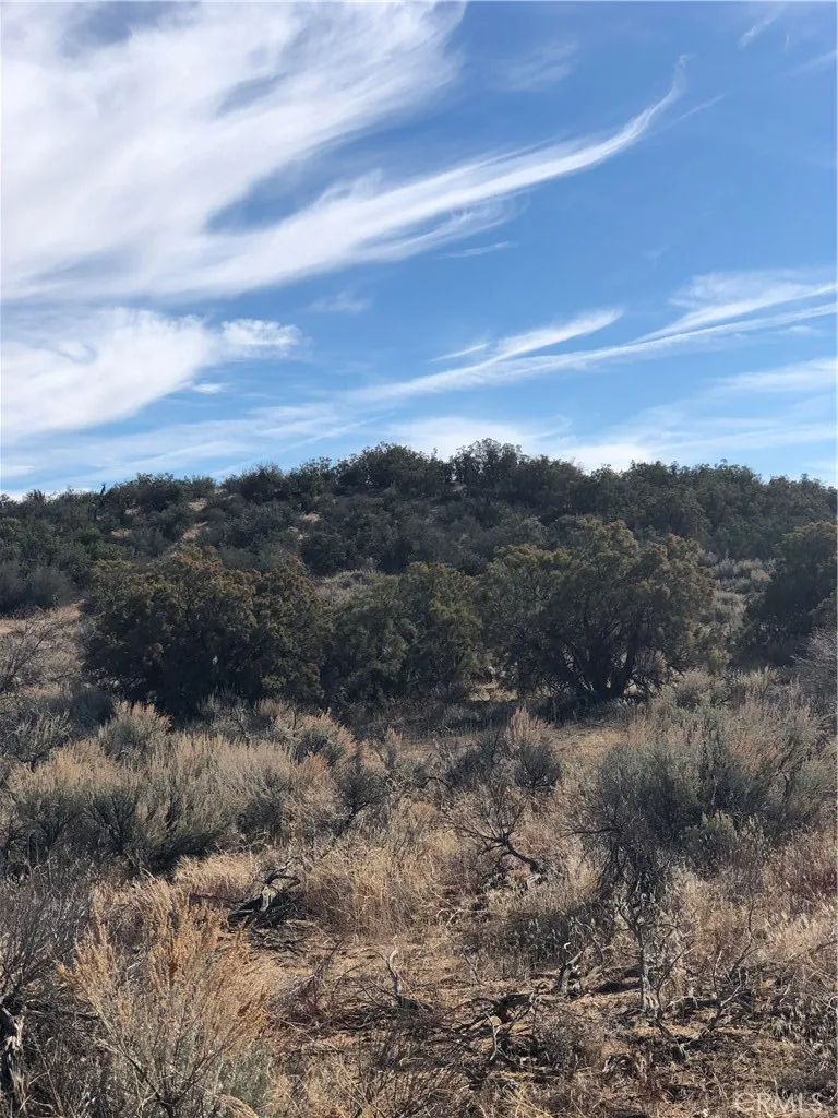 0 Ramsey Road Anza, CA 92539 - Photo 6 of 16 View of parcel.