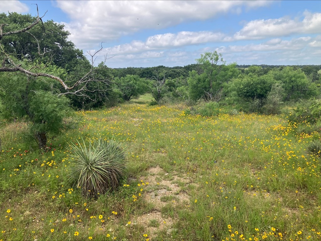 4605 West Ranch Road Mason, TX 76856 - Photo 2 of 26